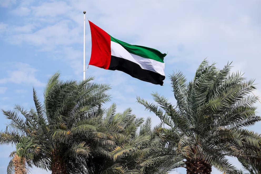 Ricardo Robaina tweet media