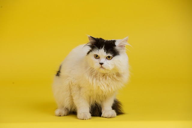 Jennifer Burton tweet media