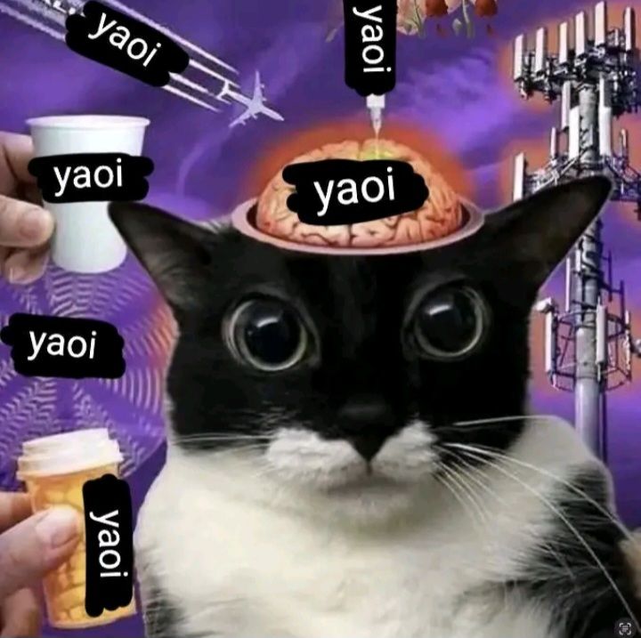 bumfuzzle tweet media