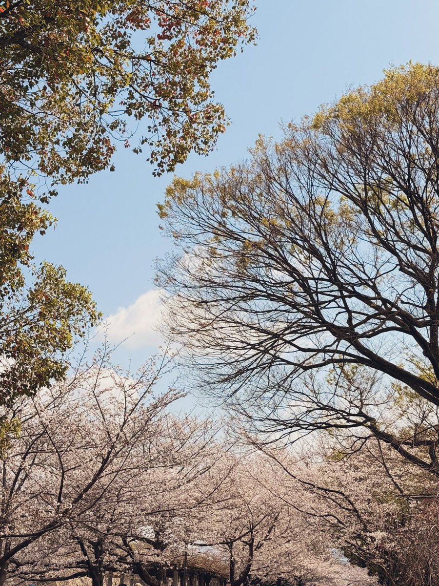 KENSR20DET tweet media