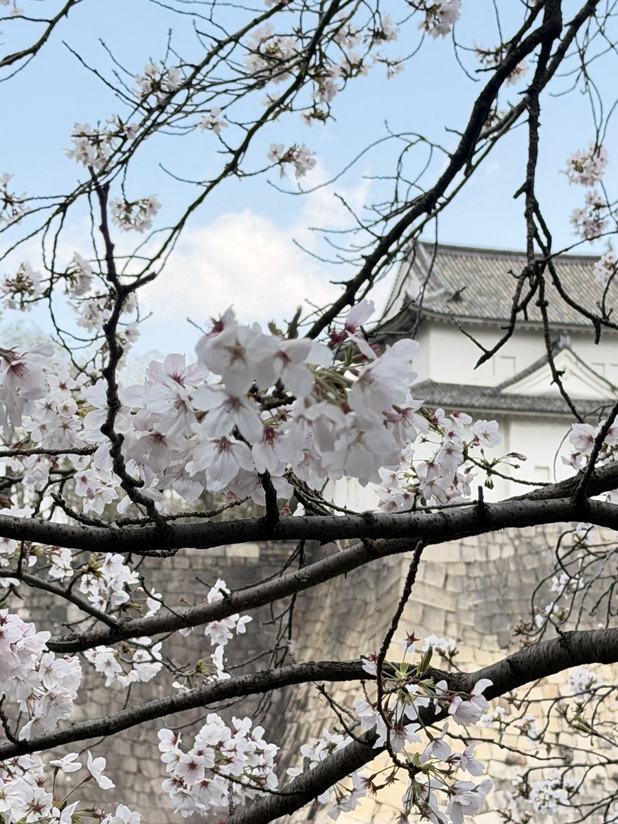 KENSR20DET tweet media