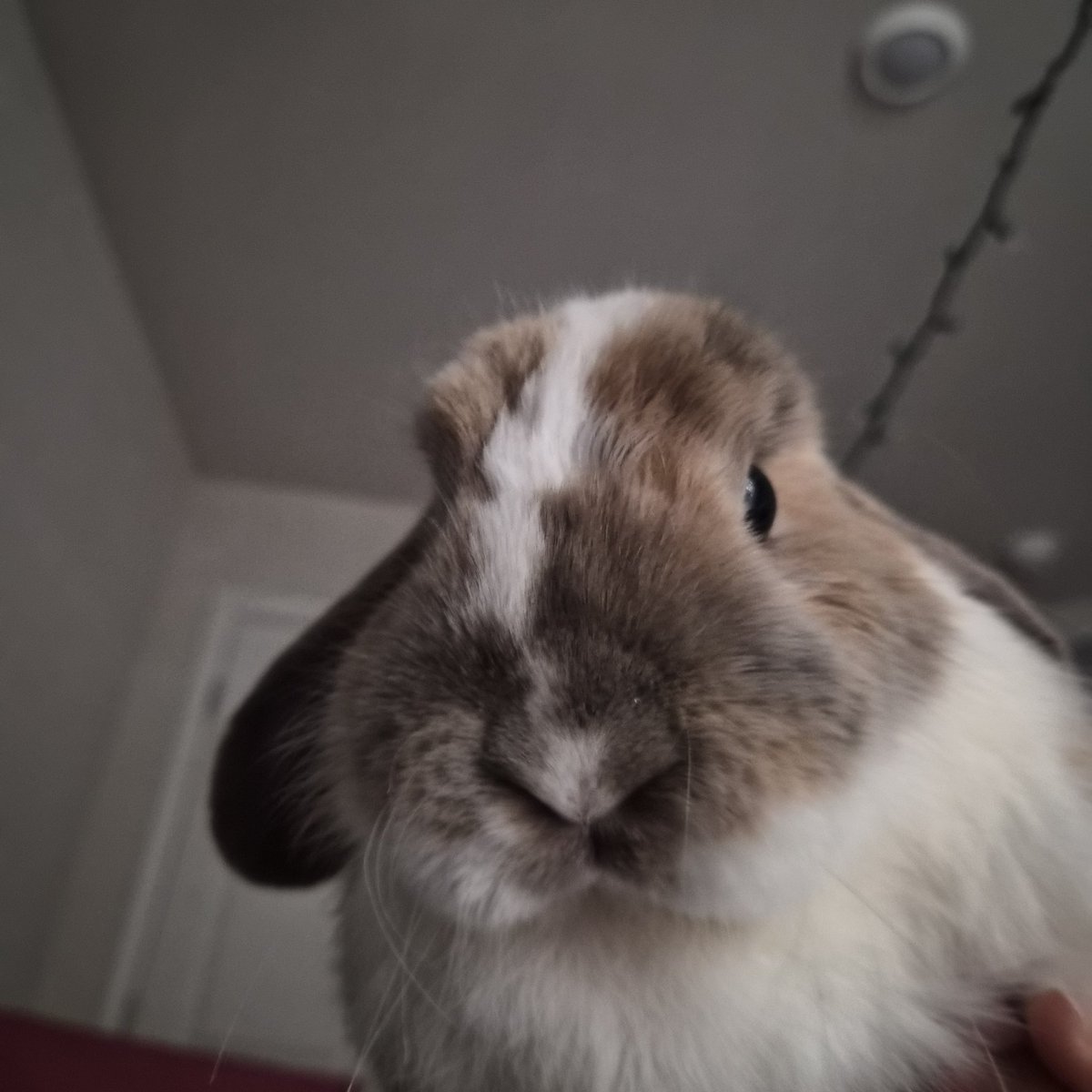 pinkie🎀 tweet media