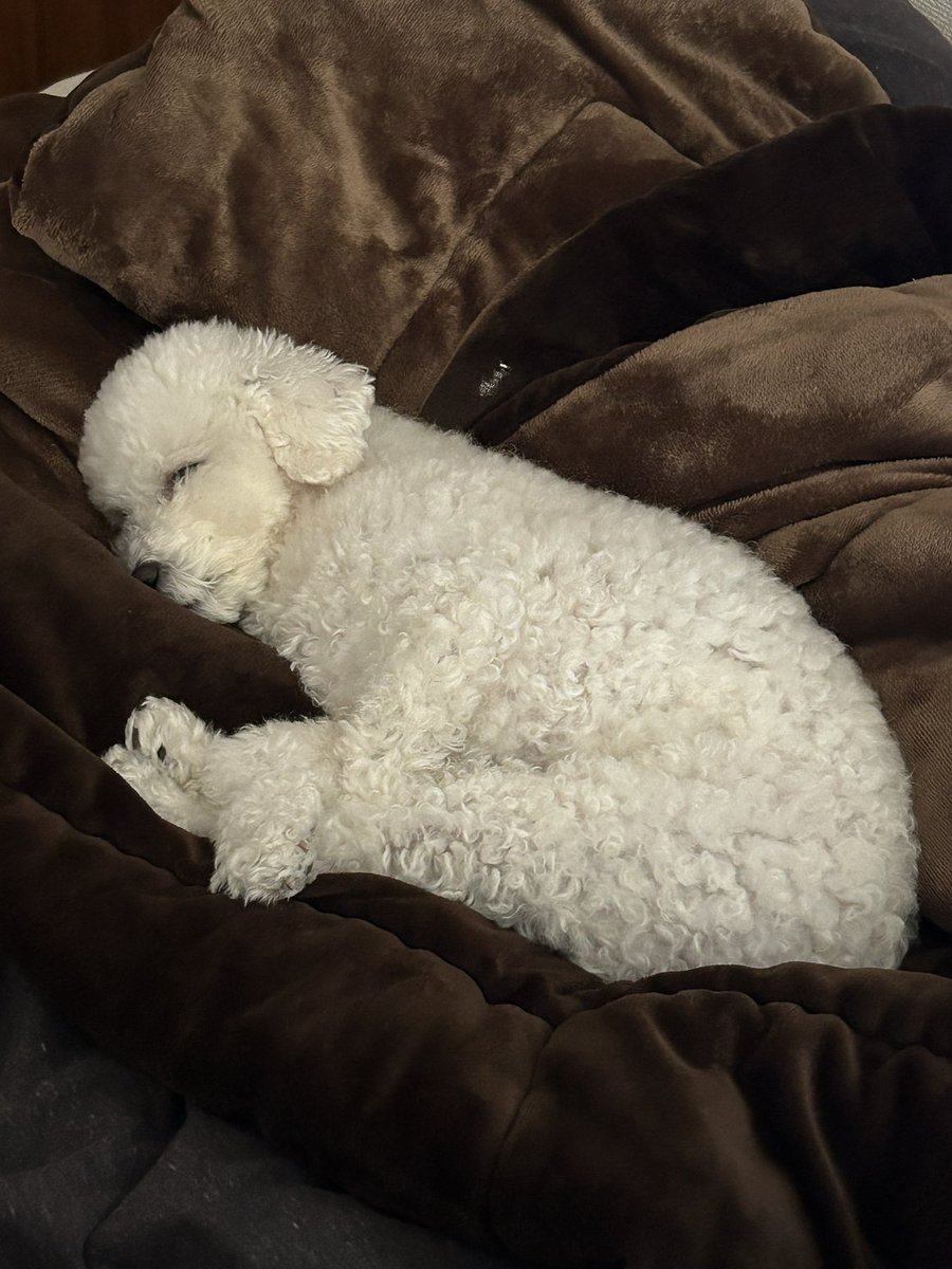 野崎裕理(Yuri Nozaki) tweet media