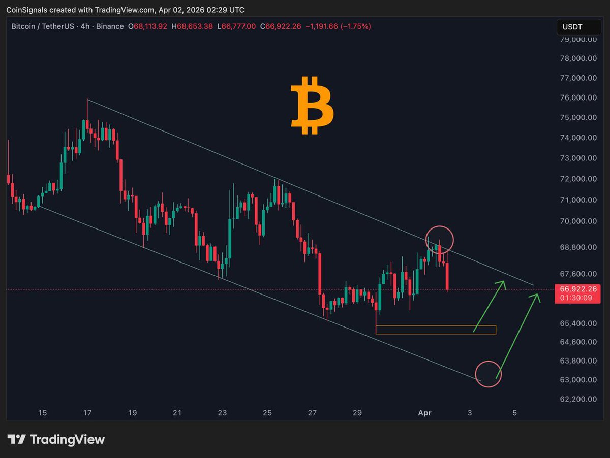 Coin Signals tweet media