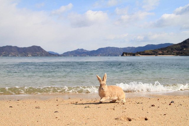 🇯🇵星空音夢🇯🇵 tweet media