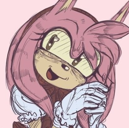 Amy Rose tweet media