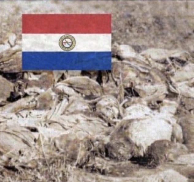 T A Y 🇧🇷 tweet media