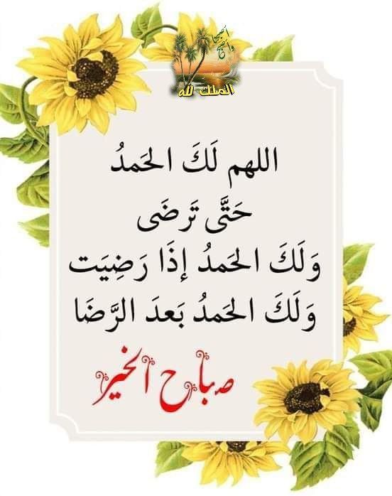 عبدالله📚 tweet media