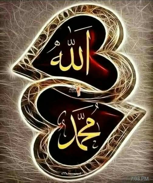 الأديب/جمال بركات/التسامح يجعل العالم جميل الملامح tweet media