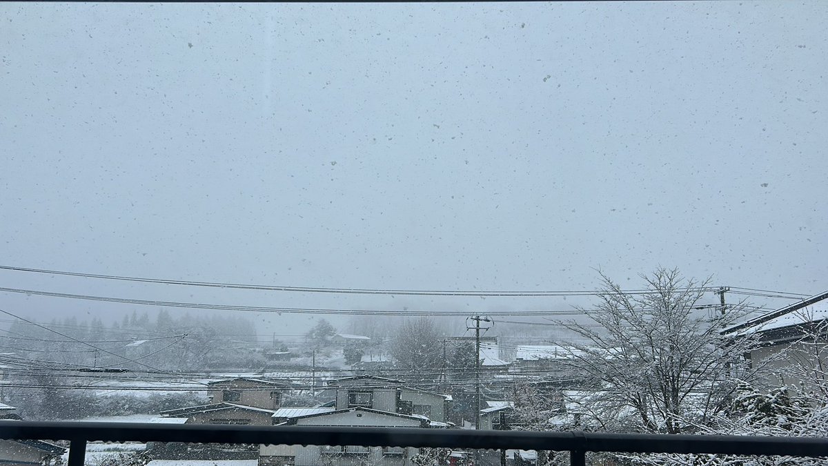 IBvv41_2B's tweet photo. 花粉飛んでるし暖かいし春だーと思ってたら雪!!? https://t.co/B9WviN6DIs
