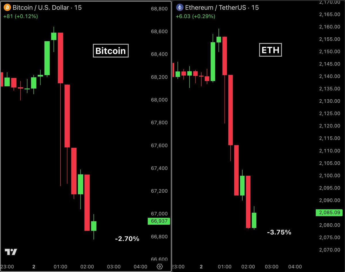 Bull Theory tweet media