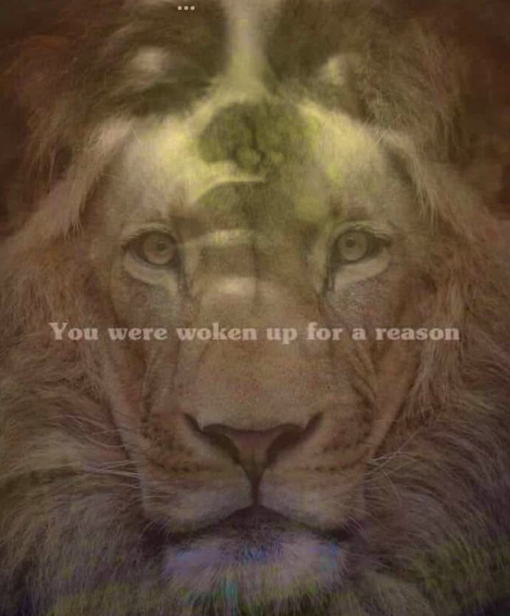 I AM MOSS tweet media