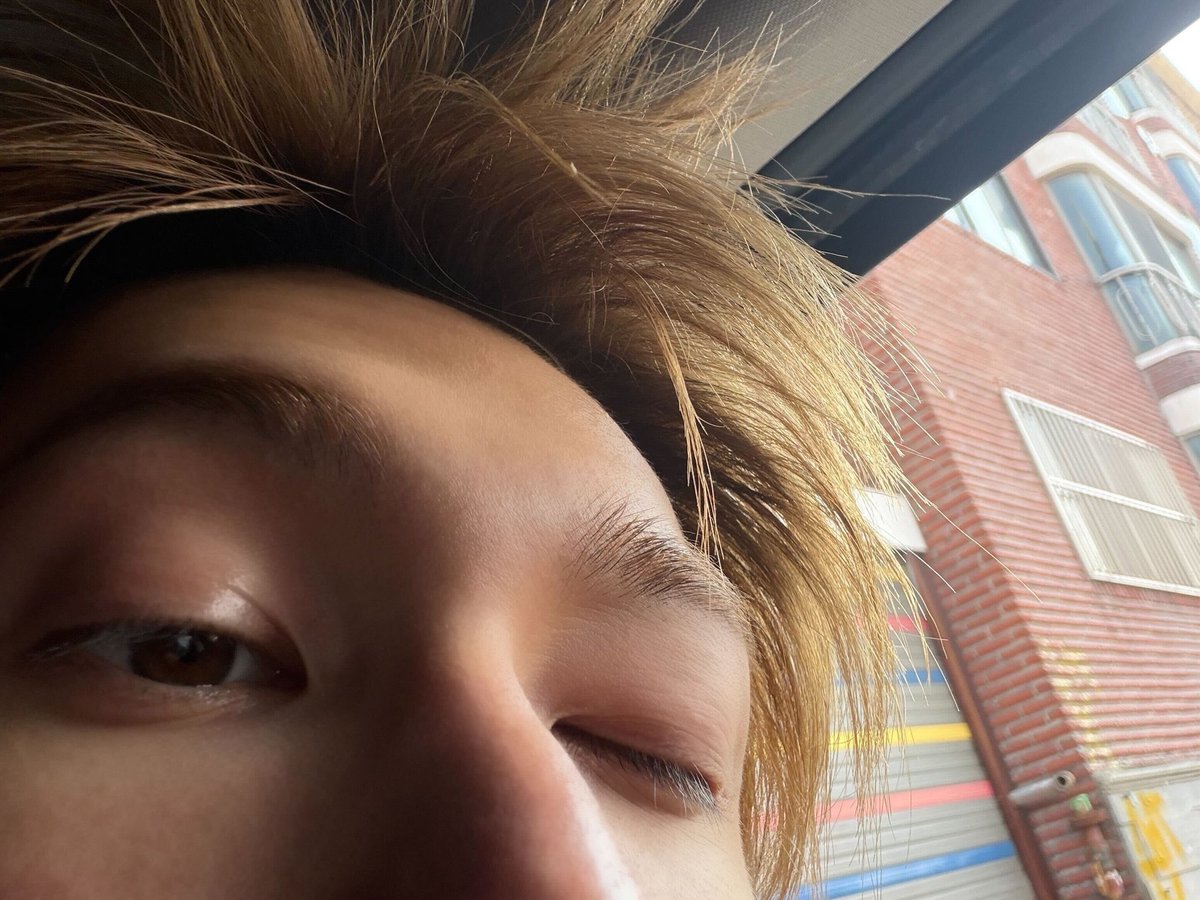 Selli-💚 tweet media