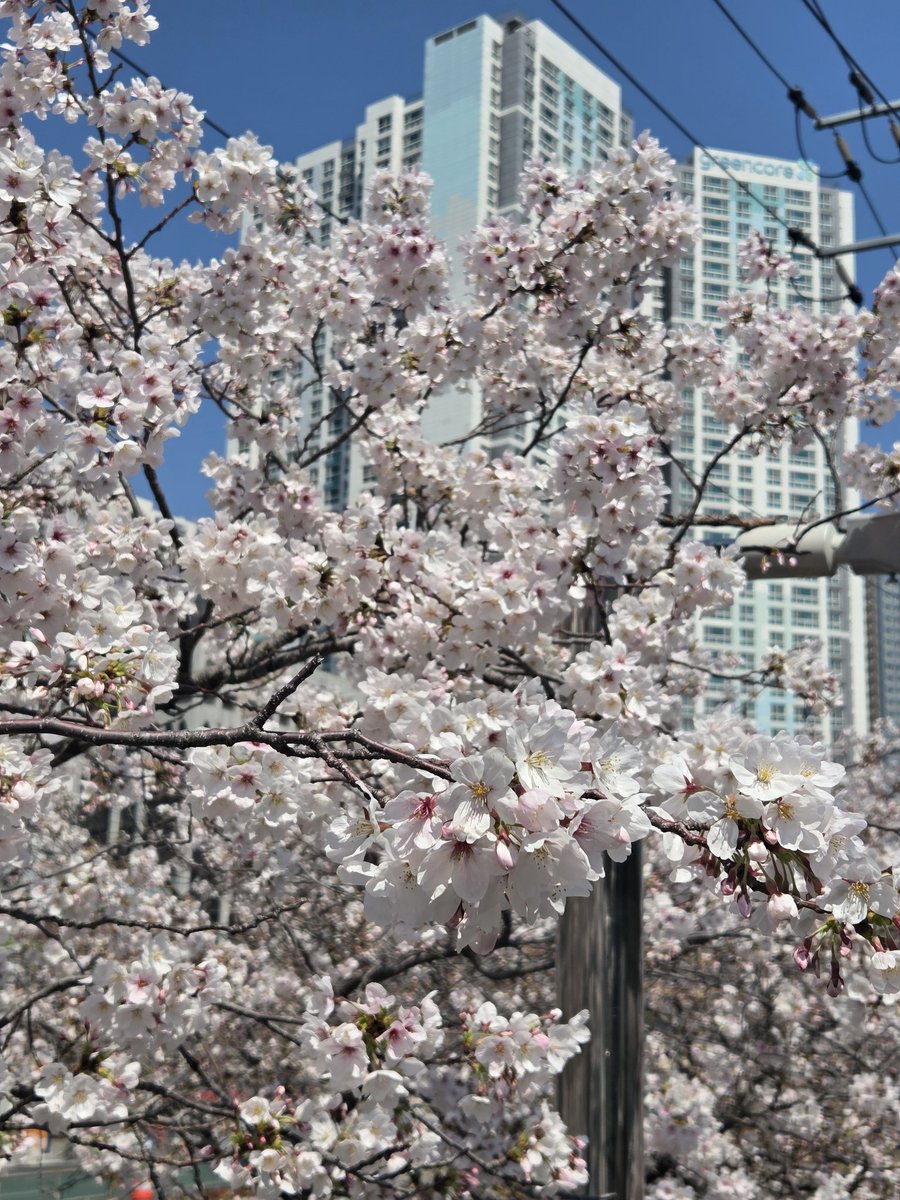 아한🍤 tweet media