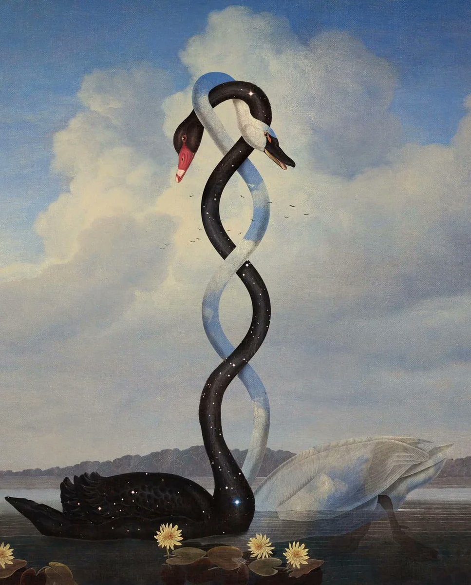 What was shown was whole from the beginning: undivided, beyond time, and present in all things.