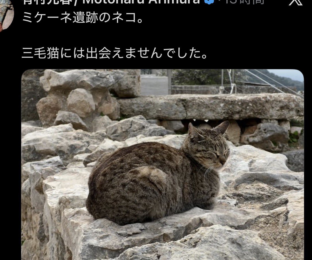 沢渡零一郎 tweet media