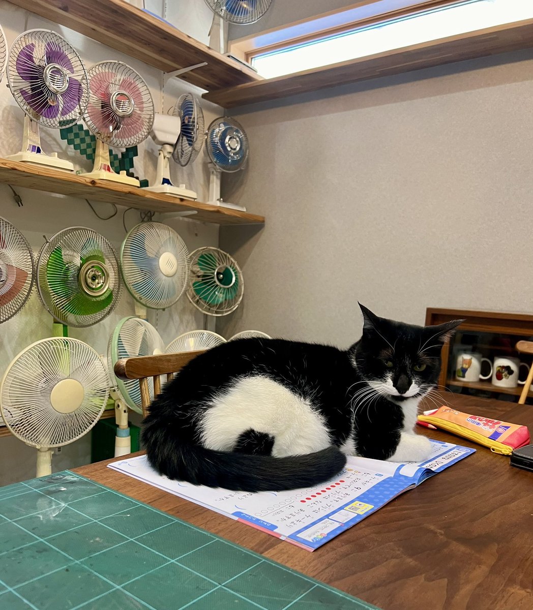 なみそ📕KEN/書籍重版！感謝📙 tweet media