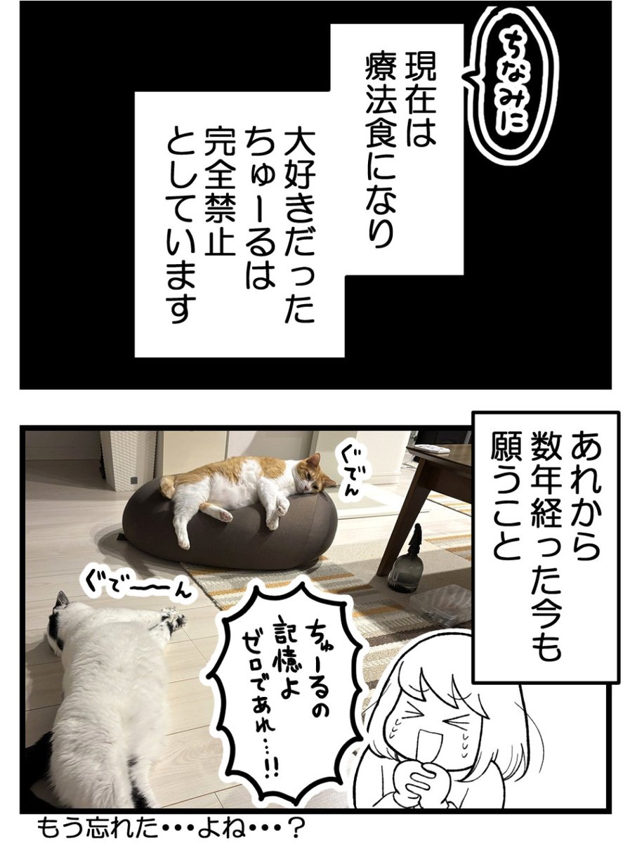(2/2) 