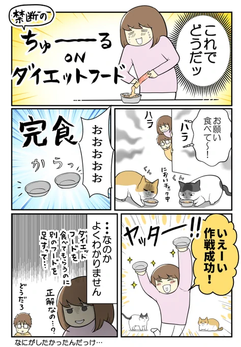 (2/2) 