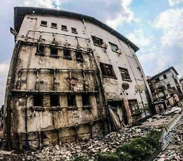 @GoppazZim1 tweet media