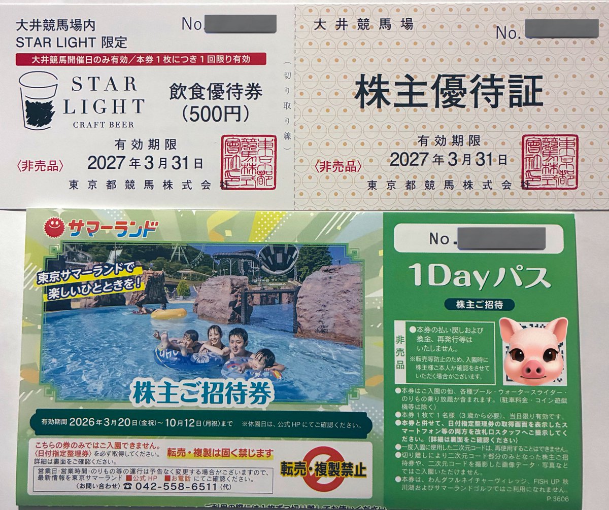 サマーランド 株主優待券 1dayパス4枚 ＋大井競馬場 株主優待証2枚送料 