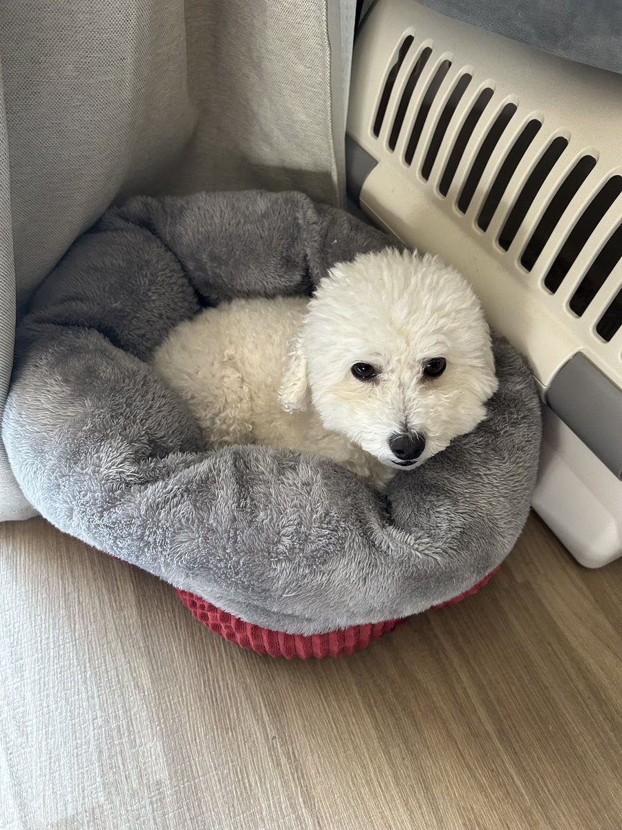 野崎裕理(Yuri Nozaki) tweet media