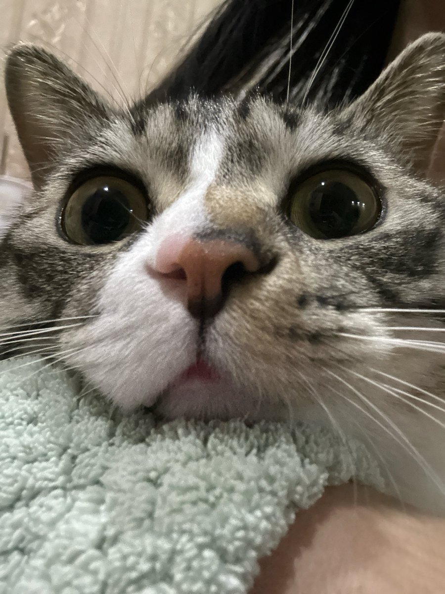 ZOEey不卖号不接广告 tweet media