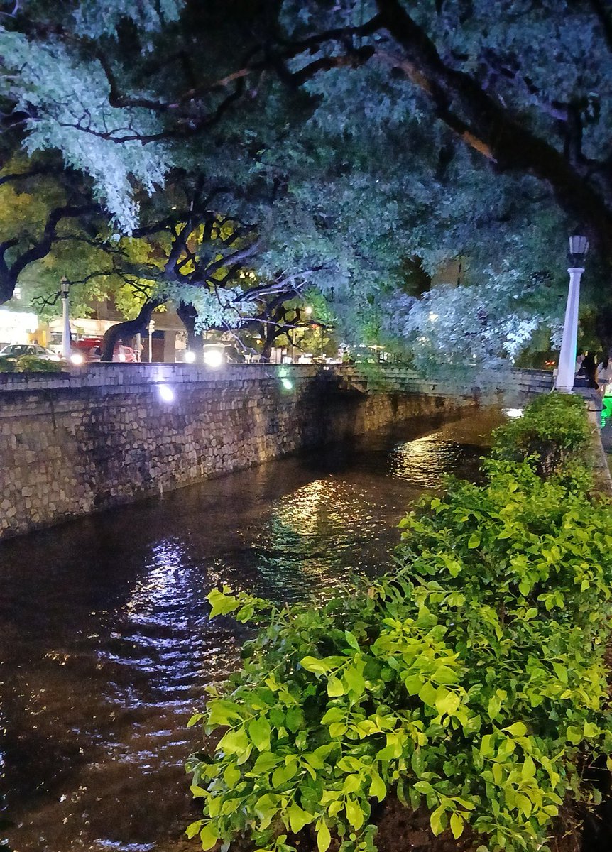 Cocó Polinari Sabattini tweet media