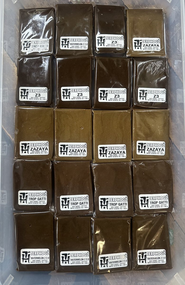 TERPHOGZ tweet media