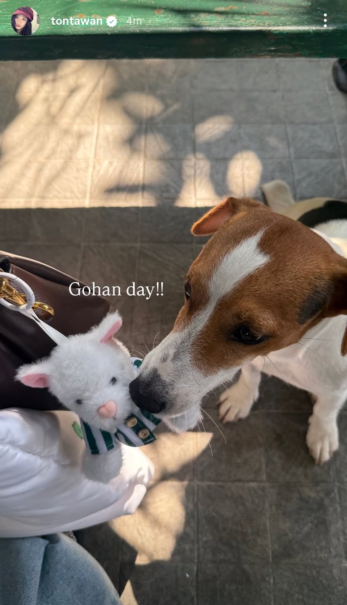 ㄹ 𝓱𝓲𝓪𝓽𝓾𝓼 tweet media