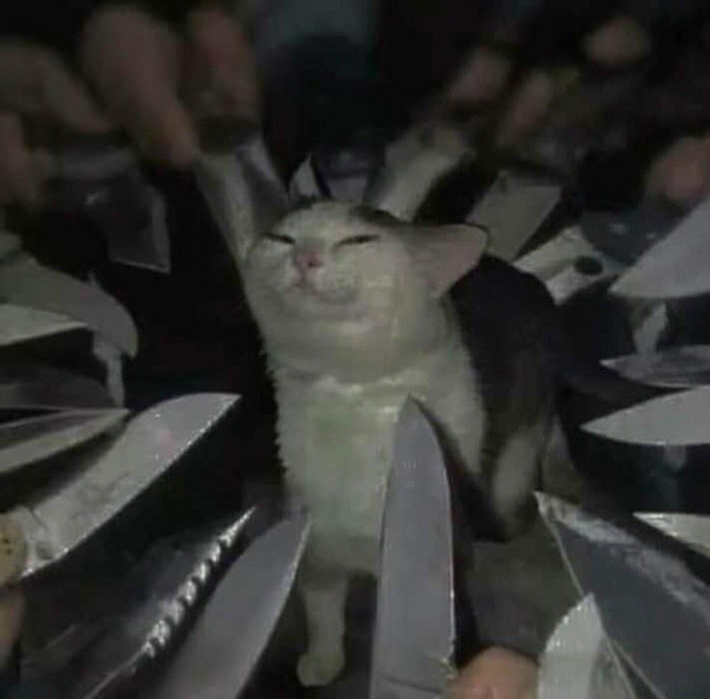 Cap Briagowsky tweet media