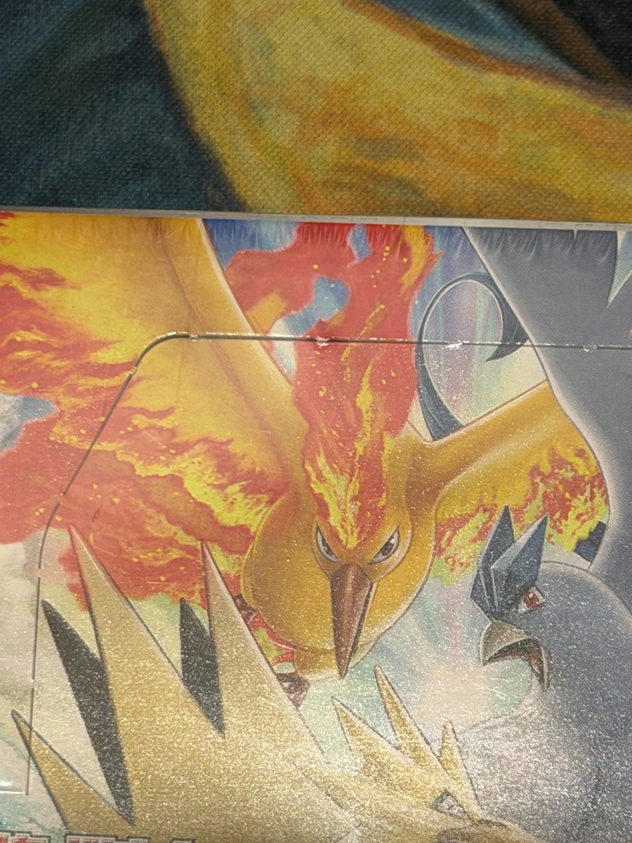 悪いブラッキー🔥 tweet media