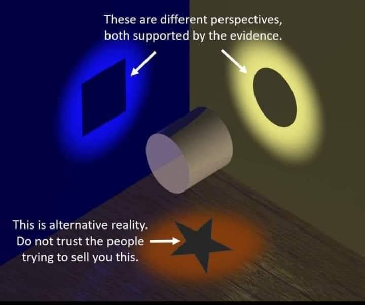 No Nonsense Neurodivergent tweet media
