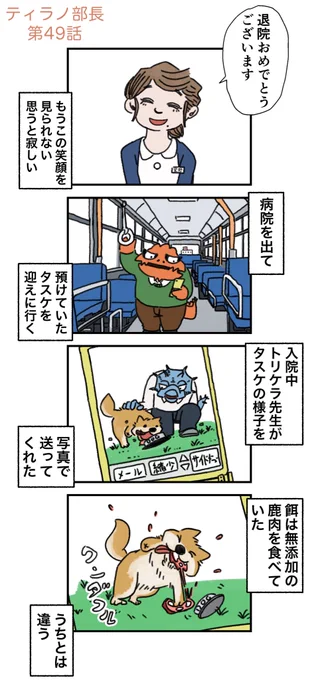 ただいま!全力で

(1/2) 
