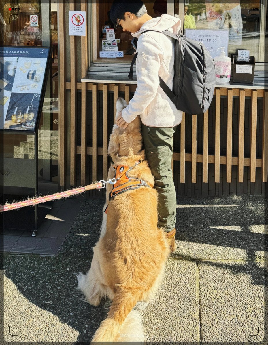 Dan39617873's tweet image. "Home isn’t a place—it’s the soft purrs and wagging tails waiting for you.  #PetLove #HomeWithPets"