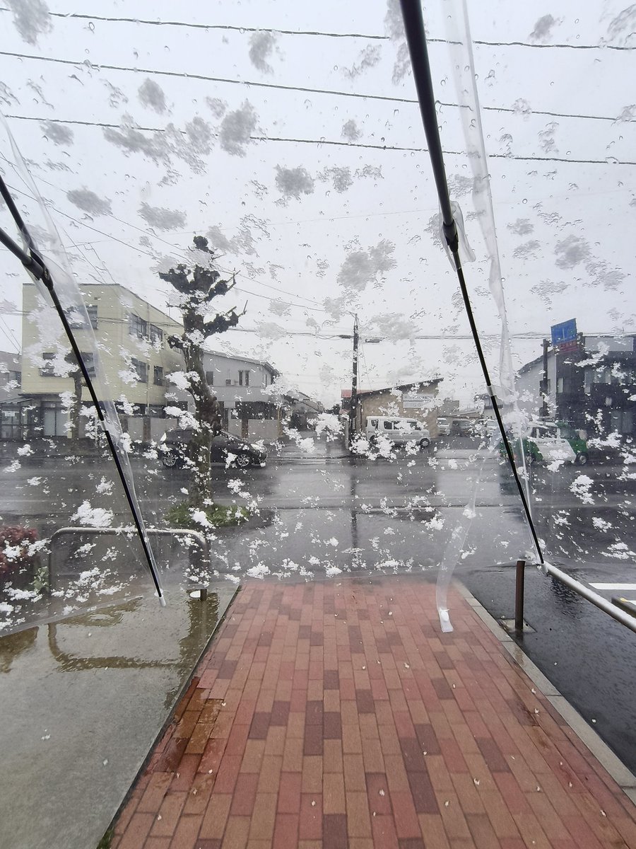 小野颯馬 tweet media