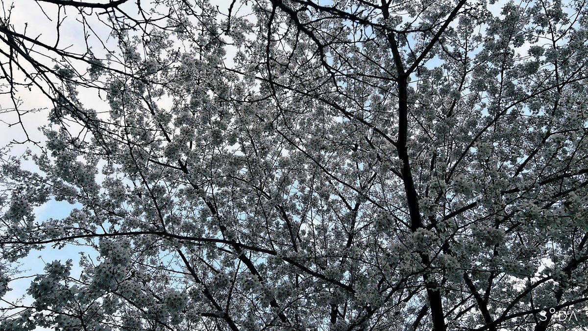 稲村梓 tweet media