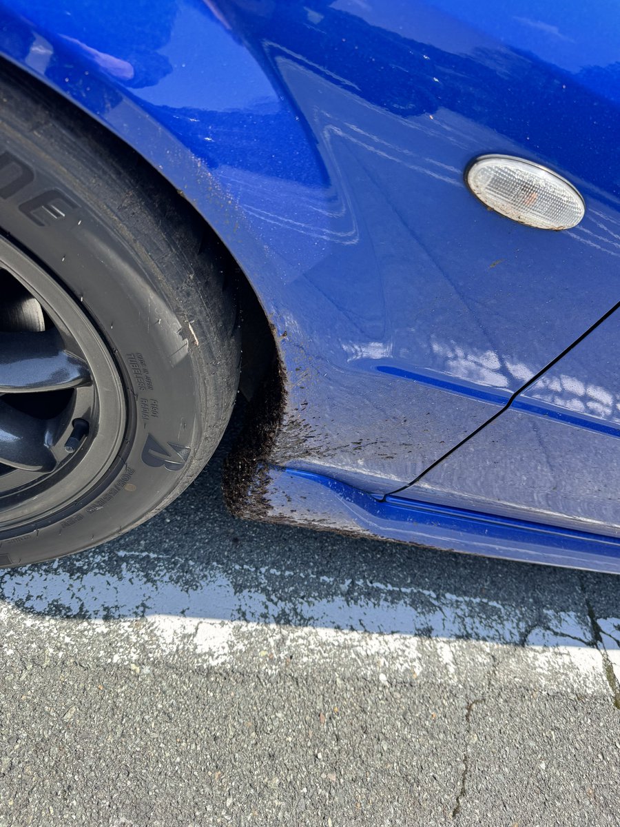 さいてー tweet media