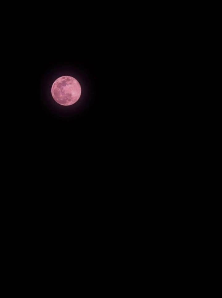 soy_ashira's tweet photo. moon pink 🩷 #lunarosa #Florida https://t.co/aCPAZtehV6