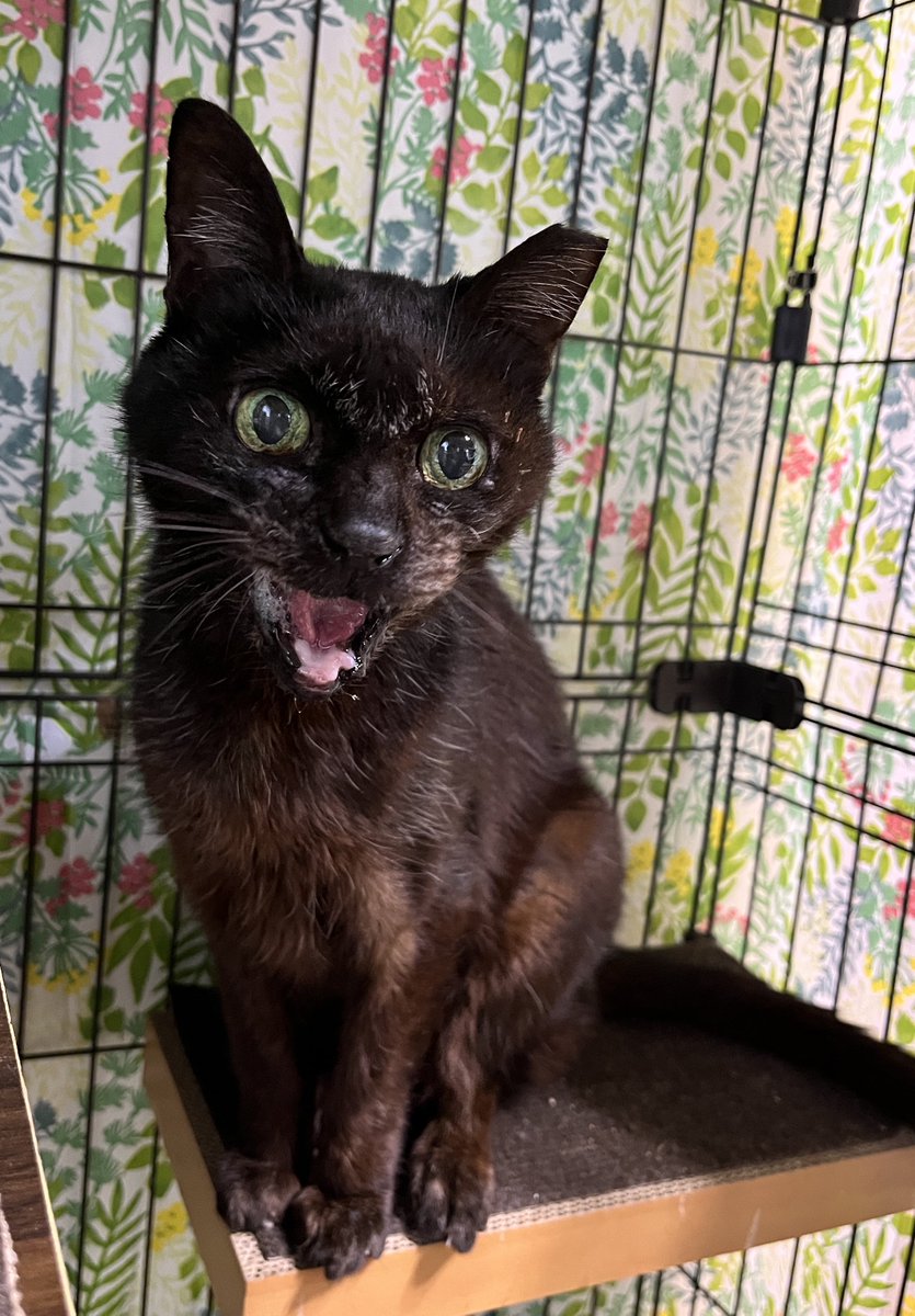 なかのひと的な2 tweet media