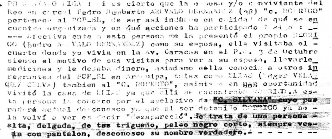 El Último Paladín 🥷 tweet media