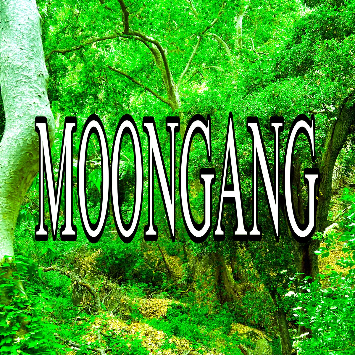 MOONGANG ☽ tweet media