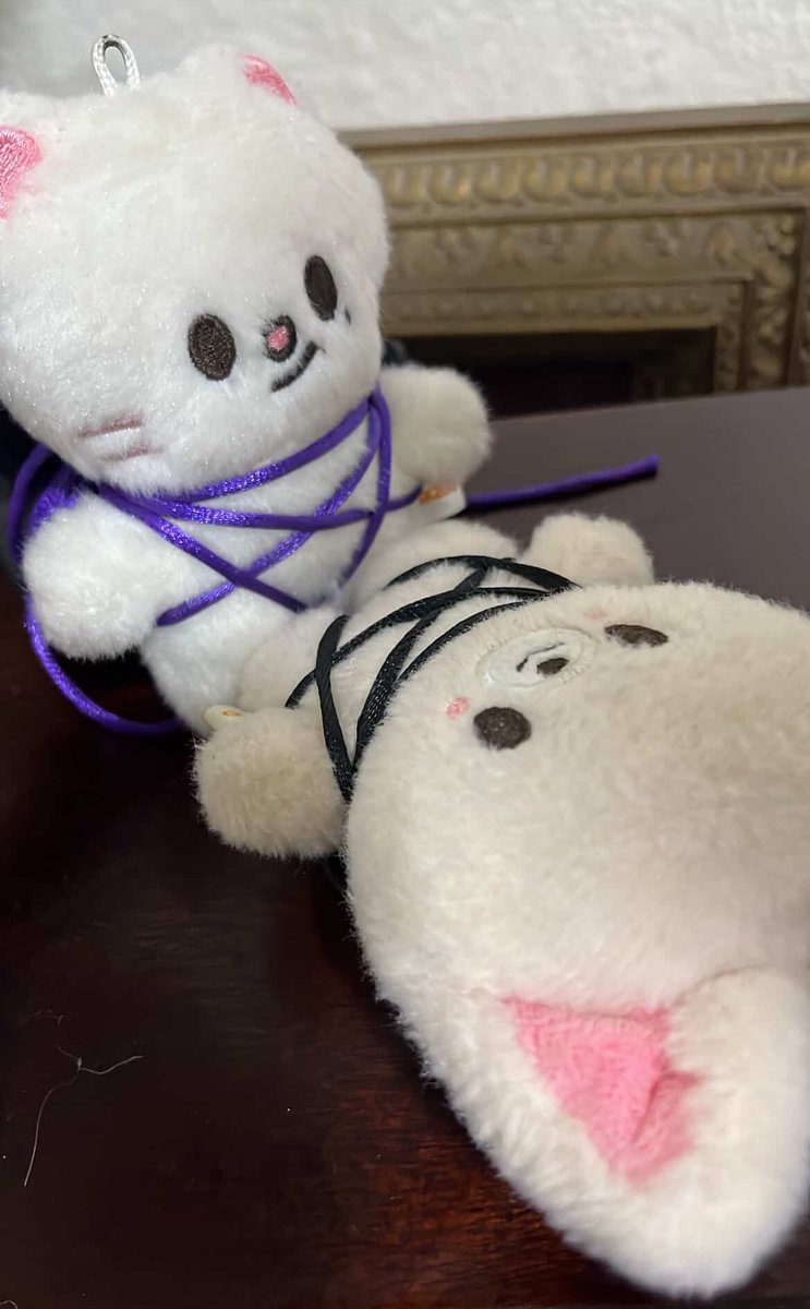 chaesita tweet media