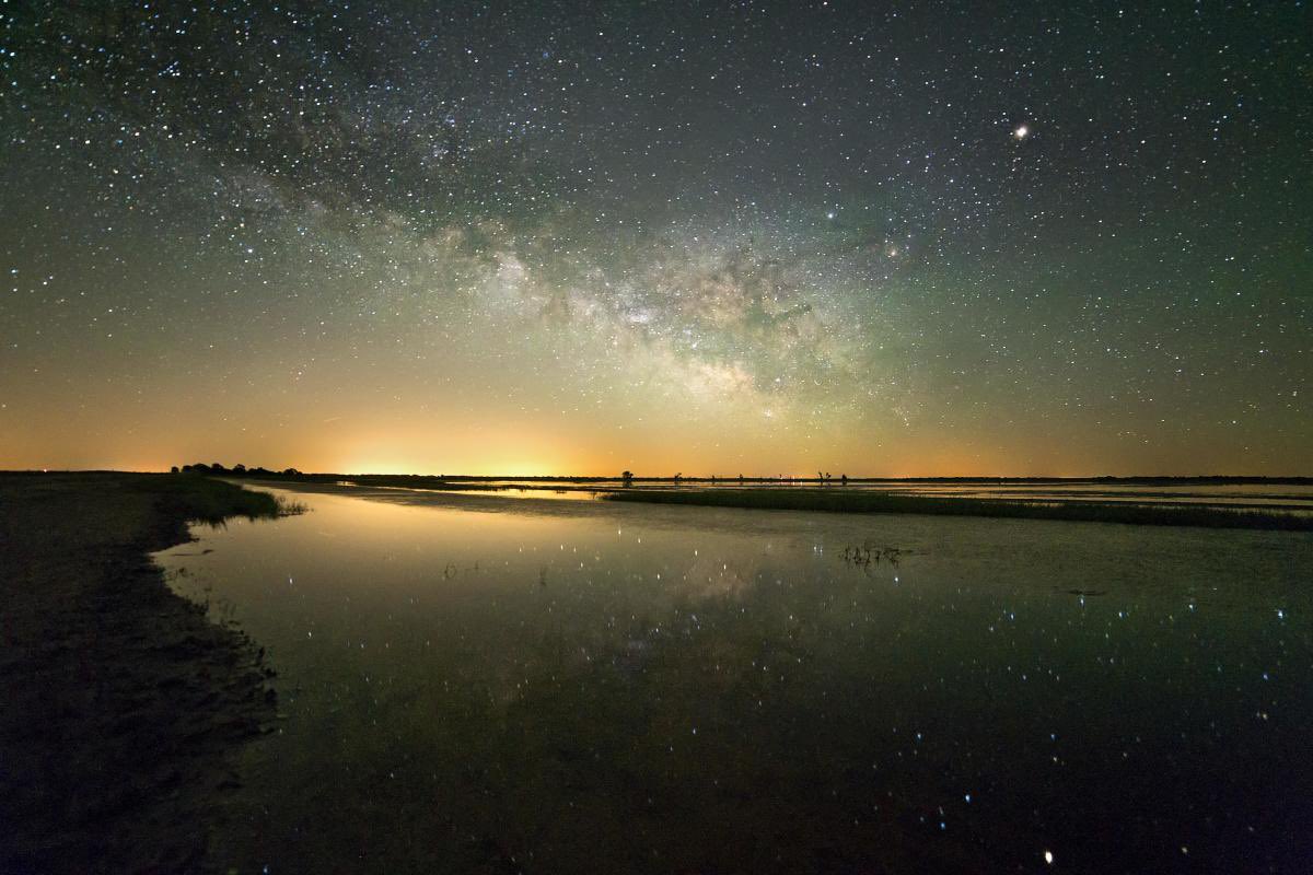 Elijah🦬🧭 tweet media