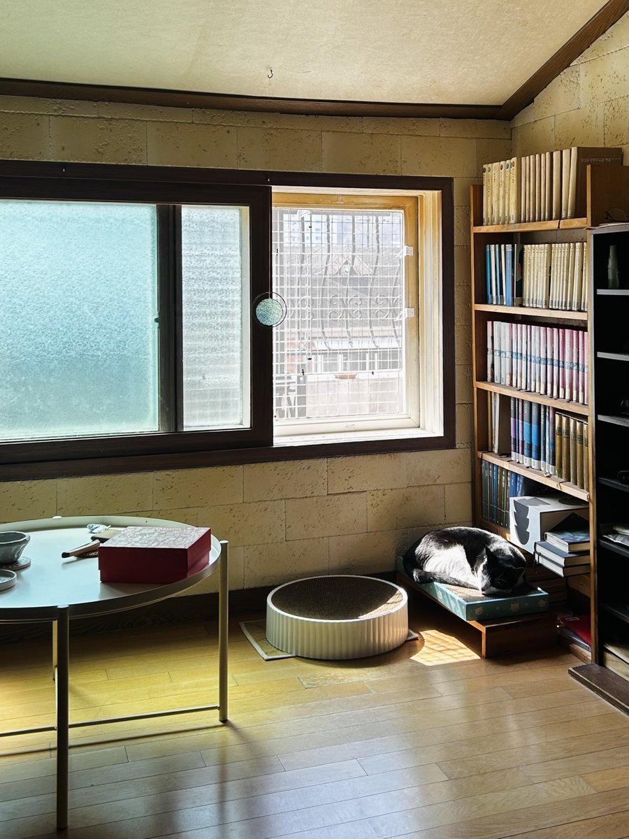 ㅎㅅㅎ🏳️‍🌈 tweet media