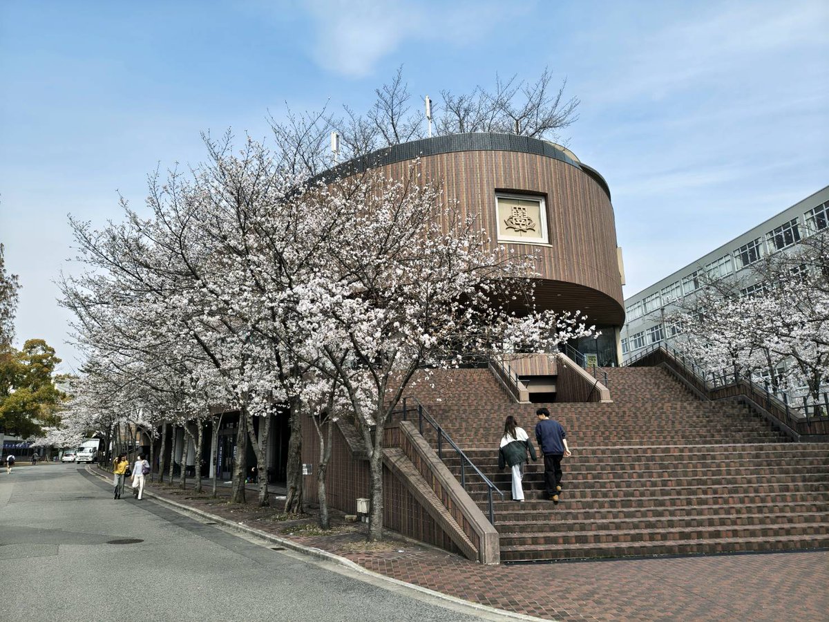 hakusyukai's tweet photo. 🌸新入生の皆様、ご入学おめでとうございます！🌸

今年も、白鷲会の部室・アトリエ見学実施中です！✨
絵の展示も開催中🎨
日程：4月2日〜4日 (9時半〜16時半)

美術部に興味のある方は気軽にご参加ください！！
不明な点などあればご連絡ください。
 #関西大学 #白鷲会 #美術部 https://t.co/50b5kuhUqc