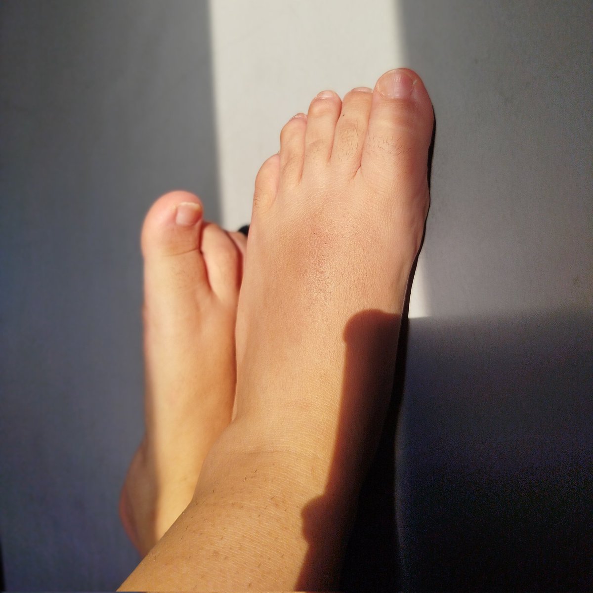 fluffyfeet tweet media