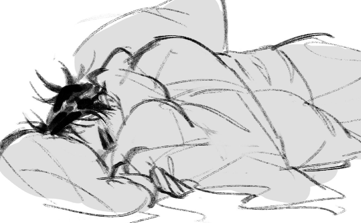 cady dae tweet media