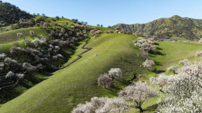 Surprise tweet media