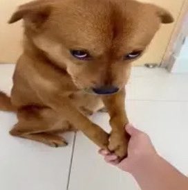 ˙⋆✮𝗗𝗮𝗻🦈 tweet media